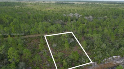 215 Ixora Dr, FL 33855 — 22 of 40