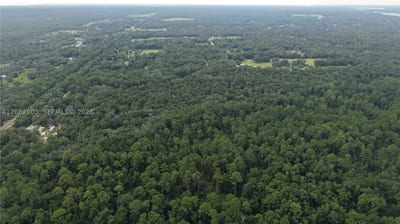 162 Carriage Pl, FL 32189 — 11 of 22