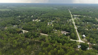 119 Fox Den, FL 32189 — 27 of 47