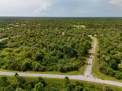 Damo St, North Port, FL 34288 — 34 of 60