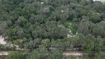 174 Ann St, FL 32640 — 34 of 42