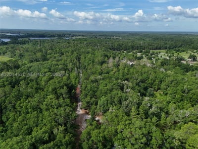 141 Strawberry St, FL 32181 — 12 of 16