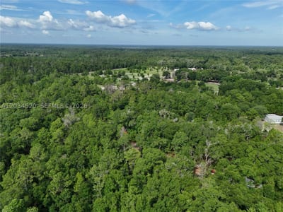 141 Strawberry St, FL 32181 — 13 of 16