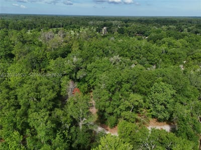141 Strawberry St, FL 32181 — 16 of 16