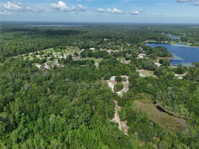 141 Strawberry St, FL 32181 — 9 of 16