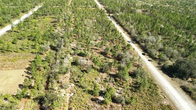 Portulaca Dr, FL 33855 — 16 of 85