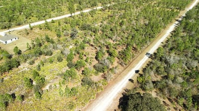 Portulaca Dr, FL 33855 — 17 of 85
