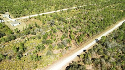 Portulaca Dr, FL 33855 — 18 of 85