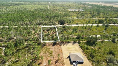 Portulaca Dr, FL 33855 — 2 of 85