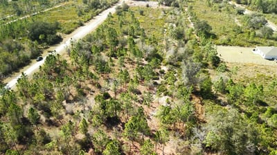 Portulaca Dr, FL 33855 — 20 of 85