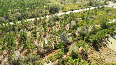 Portulaca Dr, FL 33855 — 23 of 85