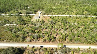 Portulaca Dr, FL 33855 — 48 of 85