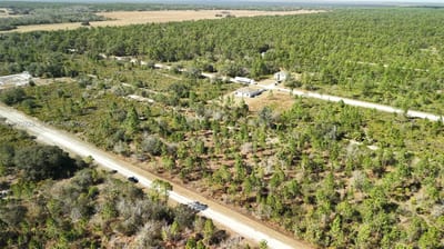 Portulaca Dr, FL 33855 — 52 of 85