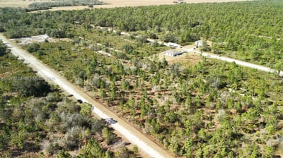 Portulaca Dr, FL 33855 — 53 of 85