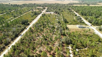 Portulaca Dr, FL 33855 — 58 of 85
