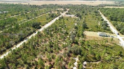 Portulaca Dr, FL 33855 — 59 of 85