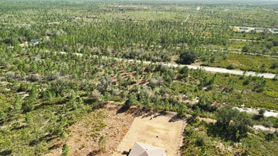 Portulaca Dr, FL 33855 — 69 of 85