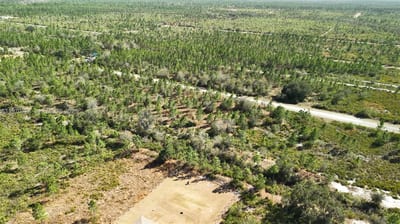 Portulaca Dr, FL 33855 — 73 of 85