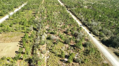 Portulaca Dr, FL 33855 — 76 of 85