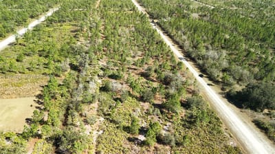 Portulaca Dr, FL 33855 — 77 of 85