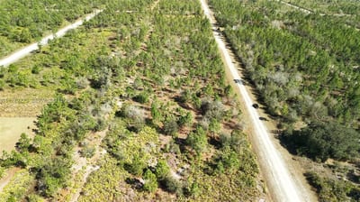 Portulaca Dr, FL 33855 — 79 of 85