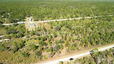 Portulaca Dr, FL 33855 — 83 of 85