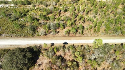 Portulaca Dr, FL 33855 — 85 of 85
