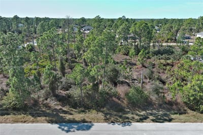 1053 Fayette Ave, Lehigh Acres, FL 33974 — 3 of 41