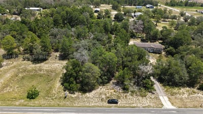 Weeping Willow St, FL 34613 — 10 of 46