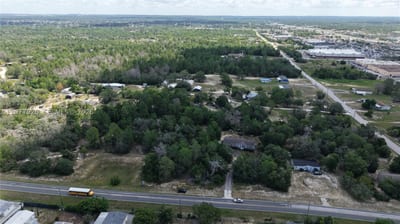 Weeping Willow St, FL 34613 — 11 of 46