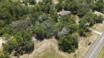 Weeping Willow St, FL 34613 — 30 of 46