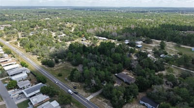 Weeping Willow St, FL 34613 — 32 of 46