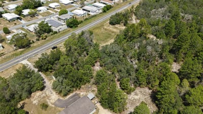 Weeping Willow St, FL 34613 — 44 of 46