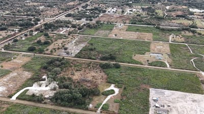 21867 NW 276th, Okeechobee, FL 34972 — 25 of 48