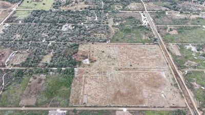 21867 NW 276th, Okeechobee, FL 34972 — 46 of 48