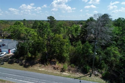 1 Tomahawk Ave, Spring Hill, FL 34606 — 3 of 20