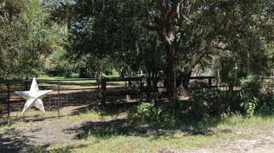 20125 NW 300th St, Okeechobee, FL 34972 — 4 of 28