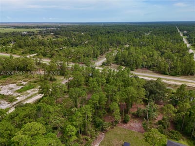 1201 Louis Ave, Lehigh Acres, FL 33972 — 27 of 51