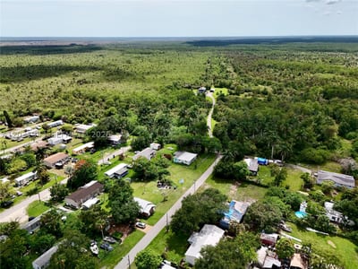 238 Old Train Ln, FL 34137 — 12 of 19