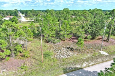 745 Troy Ave, Lehigh Acres, FL 33974 — 6 of 29