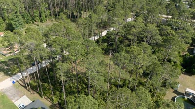 2124 East Pkwy, Deland, FL 32724 — 17 of 31