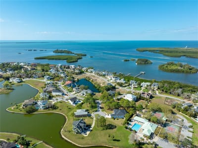 Harbour Watch Dr, FL 34689 — 11 of 31