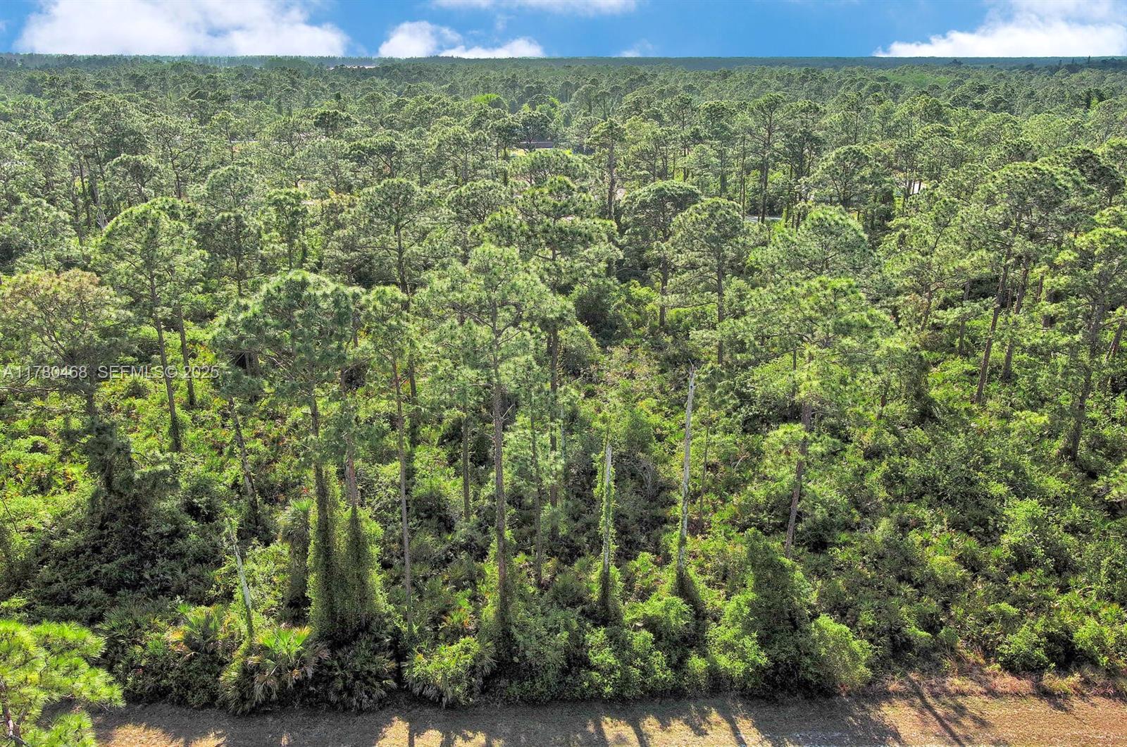 2019 Columbus Ave, Lehigh Acres, FL 33920 — 4 of 19