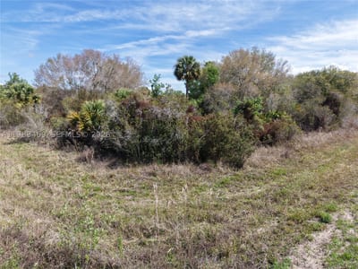 20755 NW 262nd, Okeechobee, FL 34972 — 47 of 48