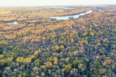 13254 E Shawnee Trl, Inverness, FL 34450 — 14 of 24