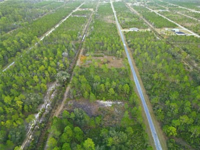 310 Tropicana Dr, Lake Wales, FL 33855 — 16 of 27