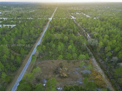 310 Tropicana Dr, Lake Wales, FL 33855 — 19 of 27