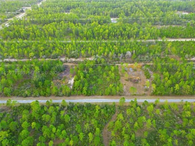 310 Tropicana Dr, Lake Wales, FL 33855 — 2 of 27