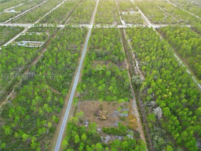 310 Tropicana Dr, Lake Wales, FL 33855 — 3 of 27