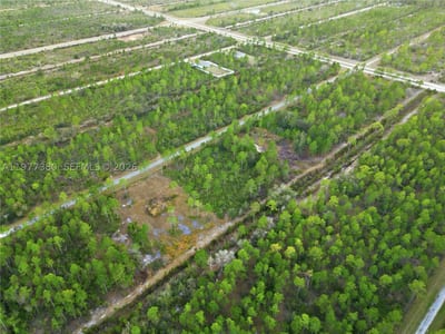 310 Tropicana Dr, Lake Wales, FL 33855 — 8 of 27